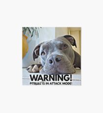 Cute Pitbull in Attack Mode Art Board