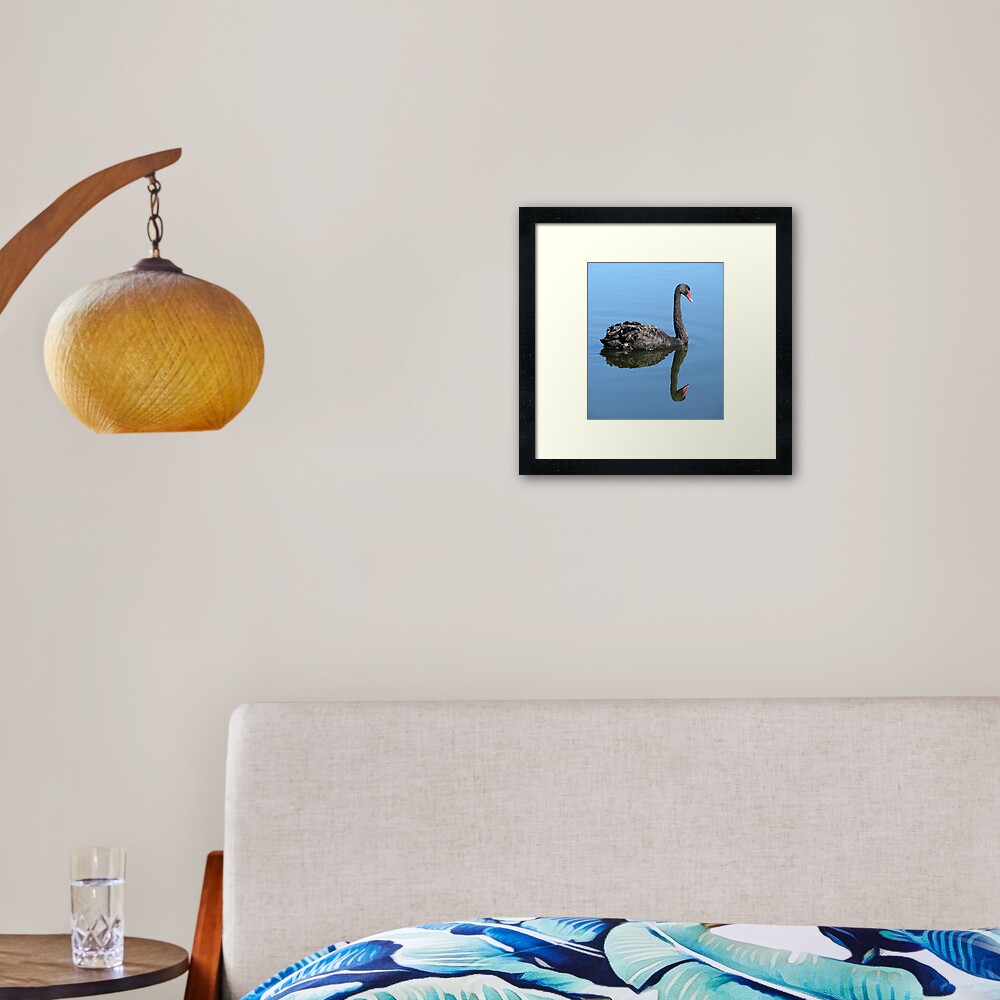 Not Such an Ugly Duckling. Framed Art Print