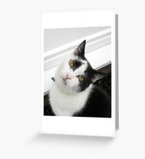 There's nobody home and it's starting to rain! Greeting Card