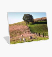 0296 Ceres Landscape Laptop Skin
