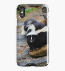 Curious Skunk iPhone Case