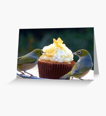 Not The Flower Silly...That's Decoration!!! - Silver-Eyes - NZ Greeting Card