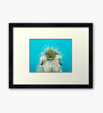 Hairy Scary Rabbit Framed Print