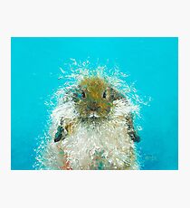 Hairy Scary Rabbit Photographic Print