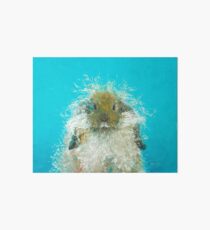 Hairy Scary Rabbit Art Board Print