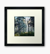 Hope Framed Print