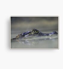 Reptile Canvas Print
