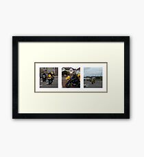 Pooh Bear Rides Again Framed Print