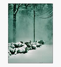 Winter Magic Photographic Print