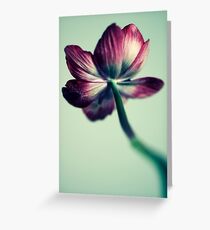 Untitled Greeting Card