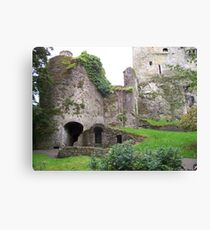 Blarney Castle Canvas Print