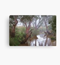 0465 Moorabool River - Geelong Canvas Print