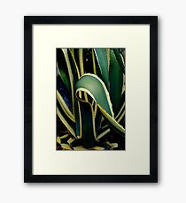 Spike Framed Print