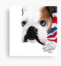 Nosey British Bulldog ' REGGIE ' by Shirley MacArthur Canvas Print