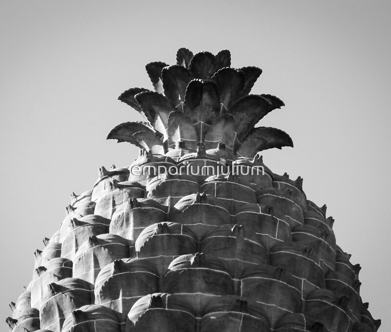 "Pineapple architecture" by emporiumjulium Redbubble