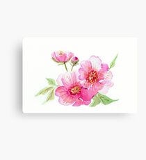 Kathleen's bouquet of Pink Peonies Canvas Print