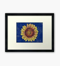 Swirly Sunflower Framed Print