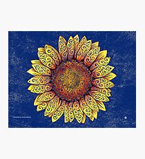 Swirly Sunflower Photographic Print