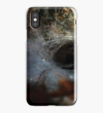 Lair iPhone Case