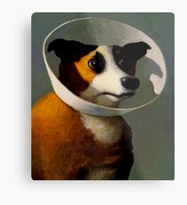 Orejeras de perro Metal Print