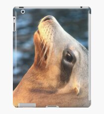 seal iPad Case/Skin