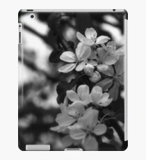 Untitled iPad Case/Skin