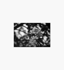 Untitled Art Board