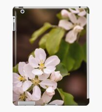 Apple blossoms iPad Case/Skin