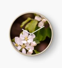 Apple blossoms Clock