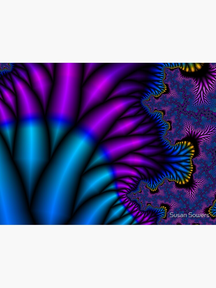 Peacock Feathers by SSSowers