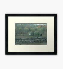 Fly by Framed Print
