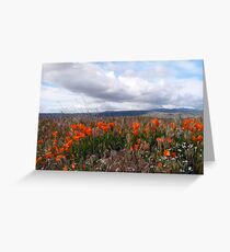 Antelope Valley California Poppy Reserve (5159 views as of 072118) Greeting Card