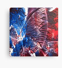 Blue Red Abstract Canvas Print