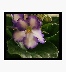 Agile Photographic Print