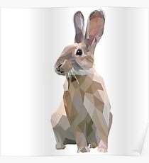 Hase Poster