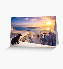 A black cat on a ledge at sunset at Fira town, with view of caldera, volcano and cruise ships, Santorini, Greece. Cloudy dramatic sky. Greeting Card