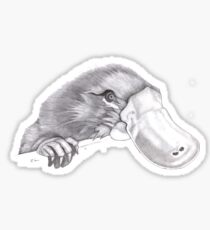 Platypus Sticker