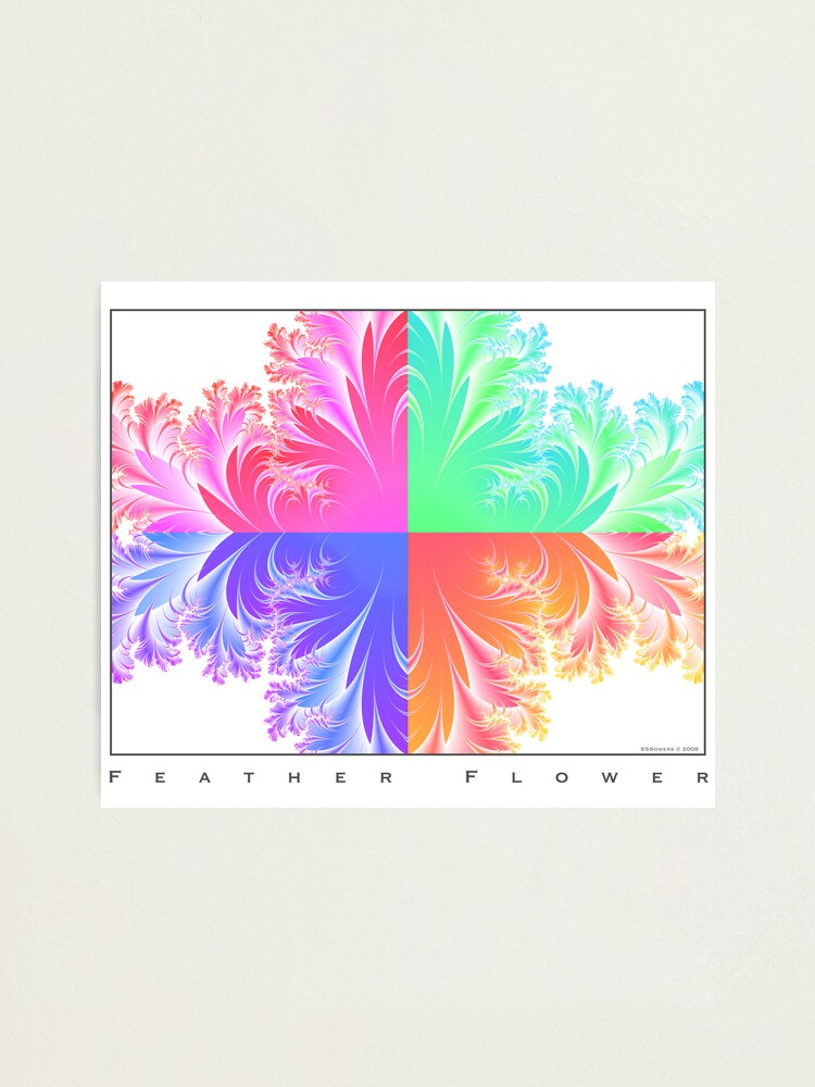 Alternate view of Feather Flowers Photographic Print