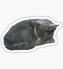 Grey Cat Sleeping Sticker