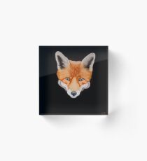 Sly Acrylic Block