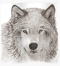 Stark Poster