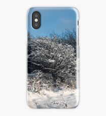 Snow scene iPhone Case