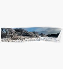 Snow scene Poster