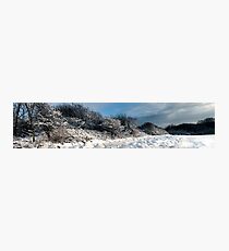 Snow scene Photographic Print