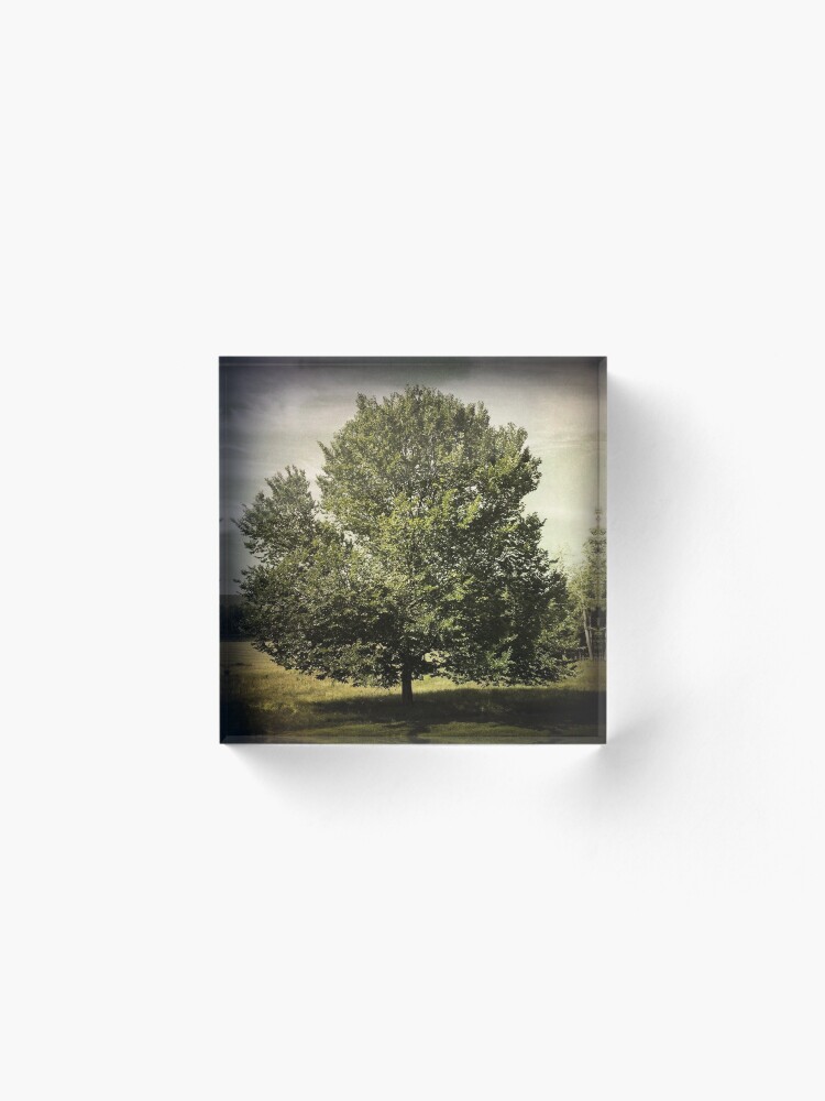 Alternate view of Nature Lovers Gift - Perfect Tree Acrylic Block