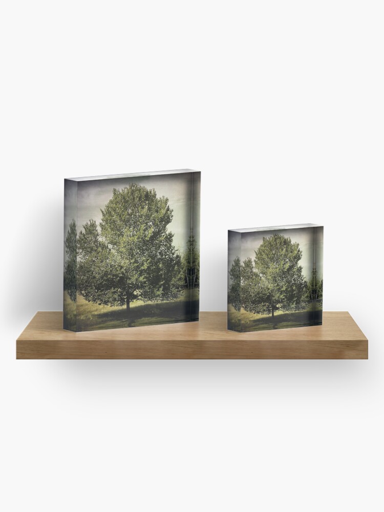 Alternate view of Nature Lovers Gift - Perfect Tree Acrylic Block