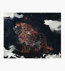 Lámina fotográfica Rey celestial