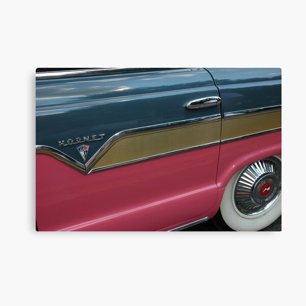 Pink Hornet Canvas Print