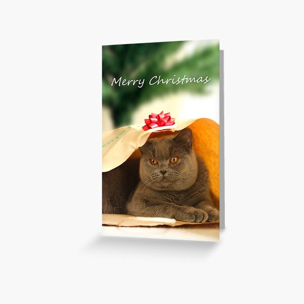 British Shorthair Gifts &amp; Merchandise | Redbubble