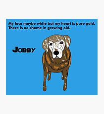 Jobby - Old dogs are the best Photographic Print